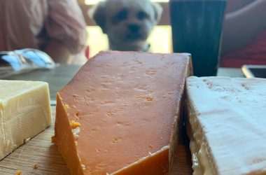 Cheese Sunday 1