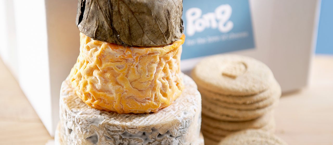 Maternity Gift Box of Cheese