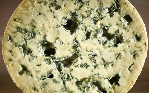 Fourme d'Ambert AOC - Image 2
