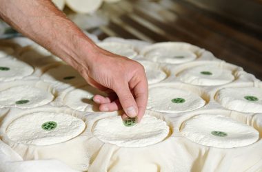 Cheese Discovery