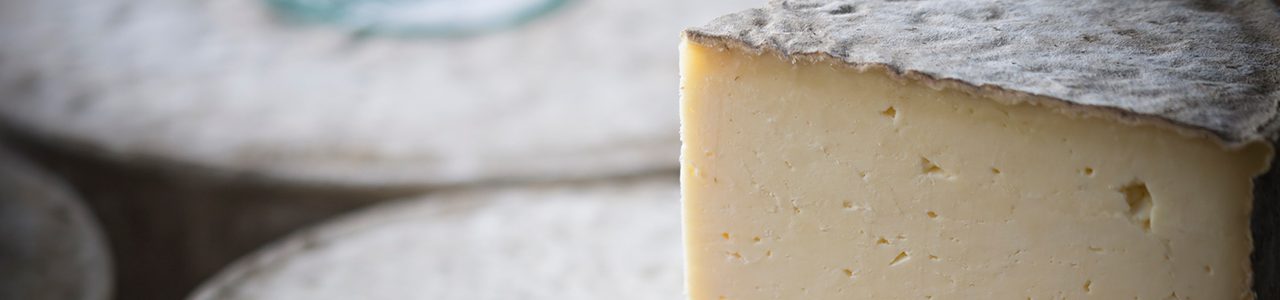 Welsh Cheese