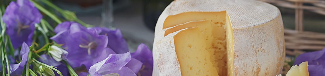 Easter Cheese