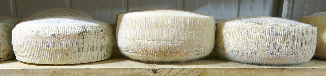 Easter Cheese