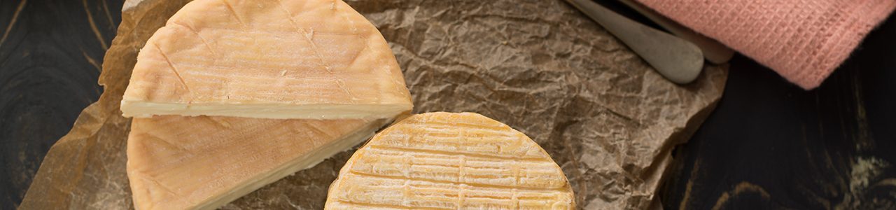 All Cheeses