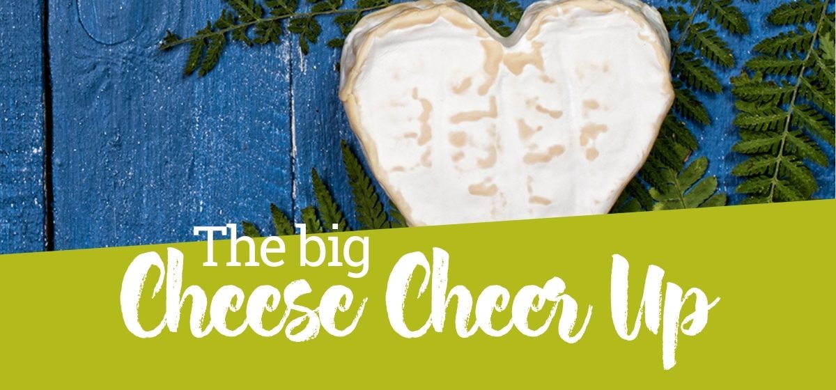 The Big Cheese Cheer Up