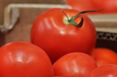 Fresh tomatoes