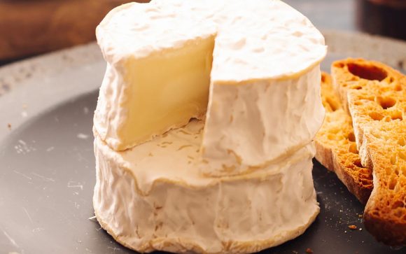 Santa Gadea Organic Spanish Goat's Cheese