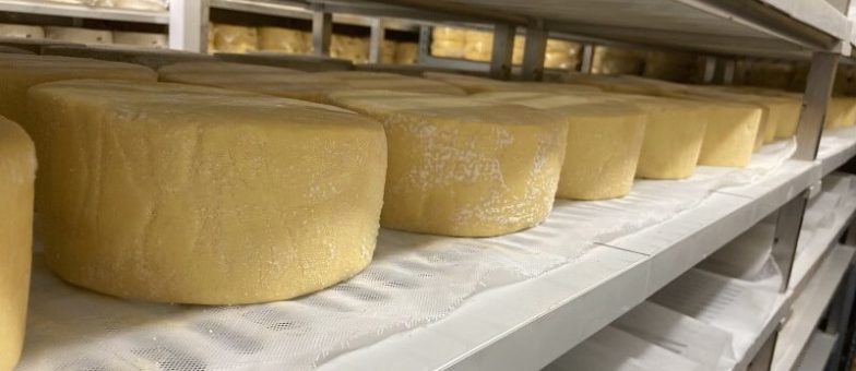 Wigmore Cheese Village Maid Cheese Visit Header