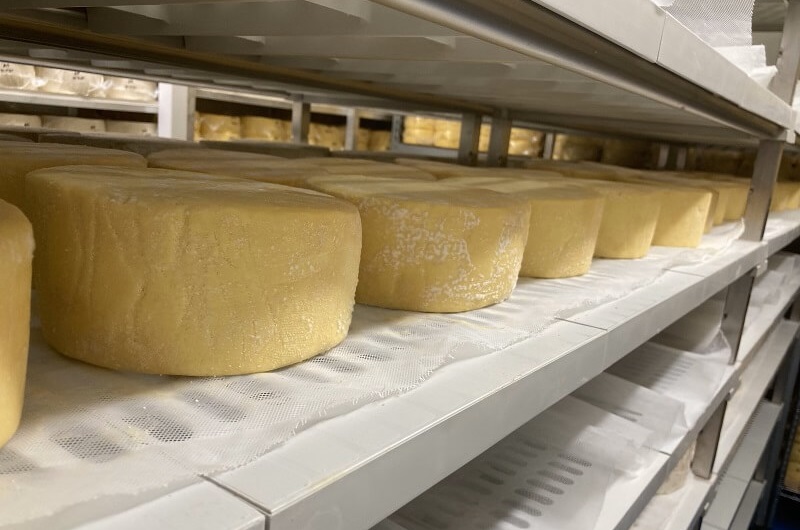 Wigmore Cheese Village Maid Cheese Visit Header